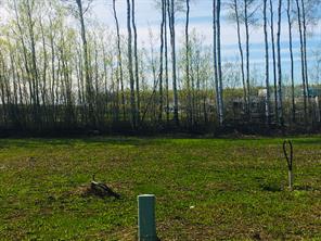 41 Chonkolay Drive, High Level, Alberta T0H 1Z0