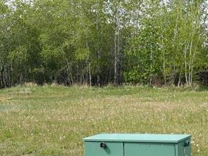 5028 45 Street, Hardisty, Alberta T0B 1V0