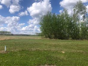 39 Chonkolay Drive, High Level, Alberta T0H 1Z0