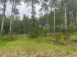 #6, 660023 Range Road 224, Rural Athabasca County, Alberta T9S 2A8