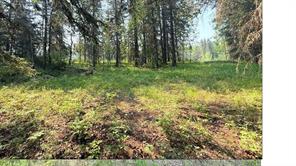 221054 670 Township, Rural Athabasca County, Alberta T9S 2B5