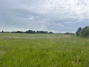 226018 76 Street E, Rural Foothills County, Alberta T1S 3W2