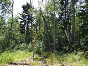 Lot 1 Blk 5 LAKESIDE Drive, Perch Lake, Saskatchewan S0M 2G0