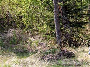 Lot 2 Blk 5 LAKESIDE Drive, Perch Lake, Saskatchewan S0M 2G0