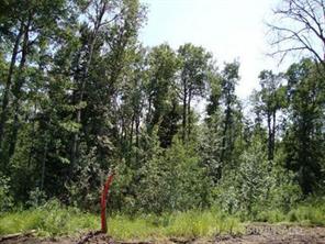 Lot 3 Blk 5 LAKESIDE Drive, Perch Lake, Saskatchewan S0M 2G0