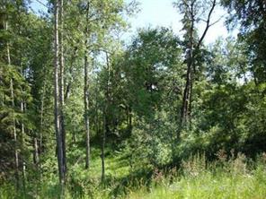 Lot 4 Blk 5 LAKESIDE Drive, Perch Lake, Saskatchewan S0M 2G0