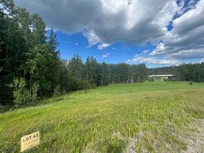 #43 River Ridge Estates, Rural Yellowhead County, Alberta T7E 3A6