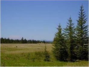 Range Road 55, Rural Mountain View County, Alberta T0G 1X0