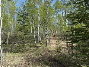 40, 29066 Range Road 52, Rural Mountain View County, Alberta T0M 2E0