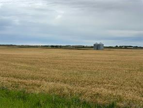 SW 14 31 27 W4, Rural Mountain View County, Alberta T0M 1X0