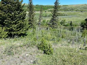 6 Rustler's Ridge, Rural Pincher Creek No. 9, M.D. of, Alberta T0K 1W0
