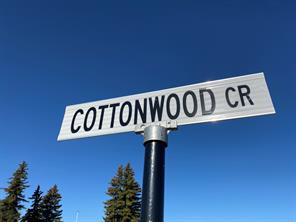 48 Cottonwood Crescent, Rosemary, Alberta T0J2W0