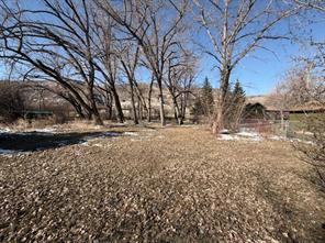 424 River Drive, Drumheller, Alberta T0J0Y0