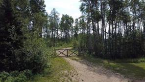9, 842052 Range Road 241, Rural Northern Lights, County of, Alberta T0H1W0
