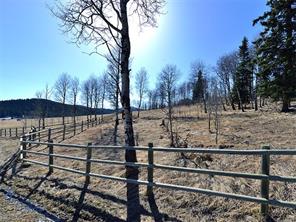 15 Kicking Horse Way, Rural Foothills County, Alberta T0L 1K0