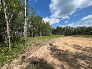 110 Tawatinaw Drive, Athabasca, Alberta T9S 1C4