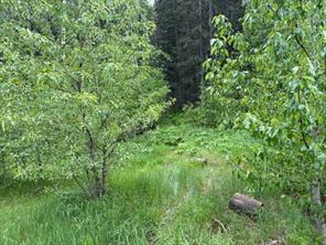 229 Mountain Lion Drive, Bragg Creek, Alberta T0L 0K0