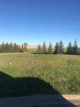 8 Regency, Trochu, Alberta T0M2C0