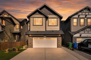 379 Skyview Shores Manor NE, Calgary, Alberta T3N 0H4