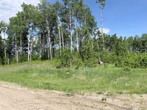 Block 1 Lot 6 Elk Ridge Estates, Rural Woodlands County, Alberta T7S 1N9