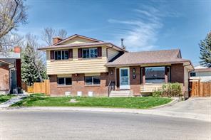 28 Rundlelawn Place NE, Calgary, Alberta T1Y3P5