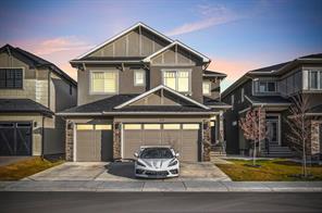 459 Savanna Way NE, Calgary, Alberta T3J 2L1