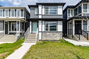 228 Cornerstone Grove NE, Calgary, Alberta T3N 2A6