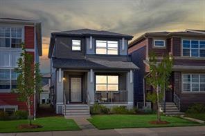206 Cornerstone Road NE, Calgary, Alberta T3N 1R5