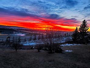 78 Scimitar View NW, Calgary, Alberta T3L 2B5