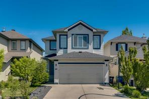 143 Cranfield Circle SE, Calgary, Alberta T3M 1H1